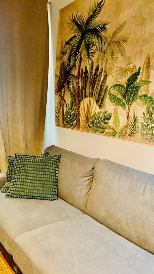 נרבון Studios De La Maison Narbonnaise מראה חיצוני תמונה